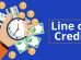 Get a Business Line of Credit